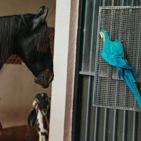 The Kerala Village, Shahapur Shenwa Dış mekan fotoğraf