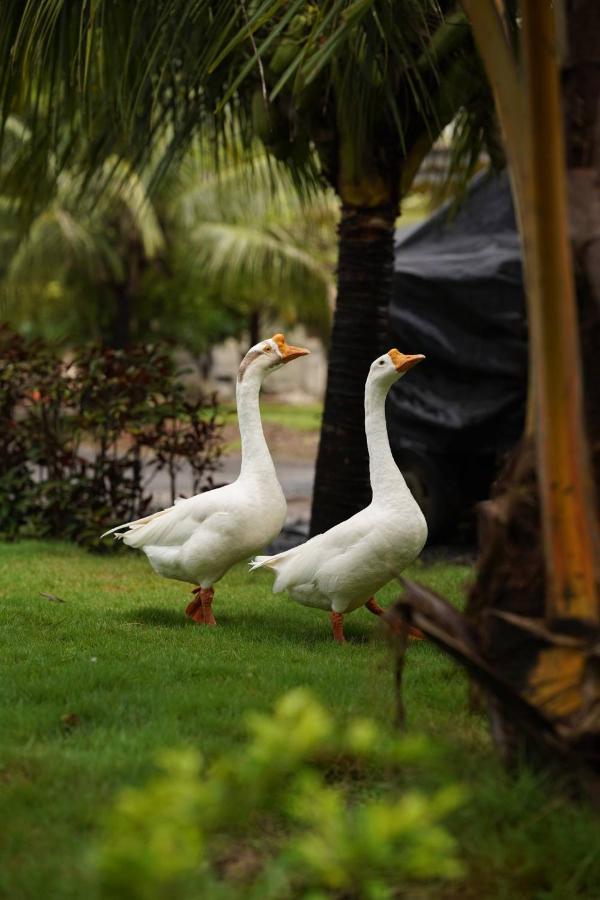 The Kerala Village, Shahapur Shenwa Dış mekan fotoğraf